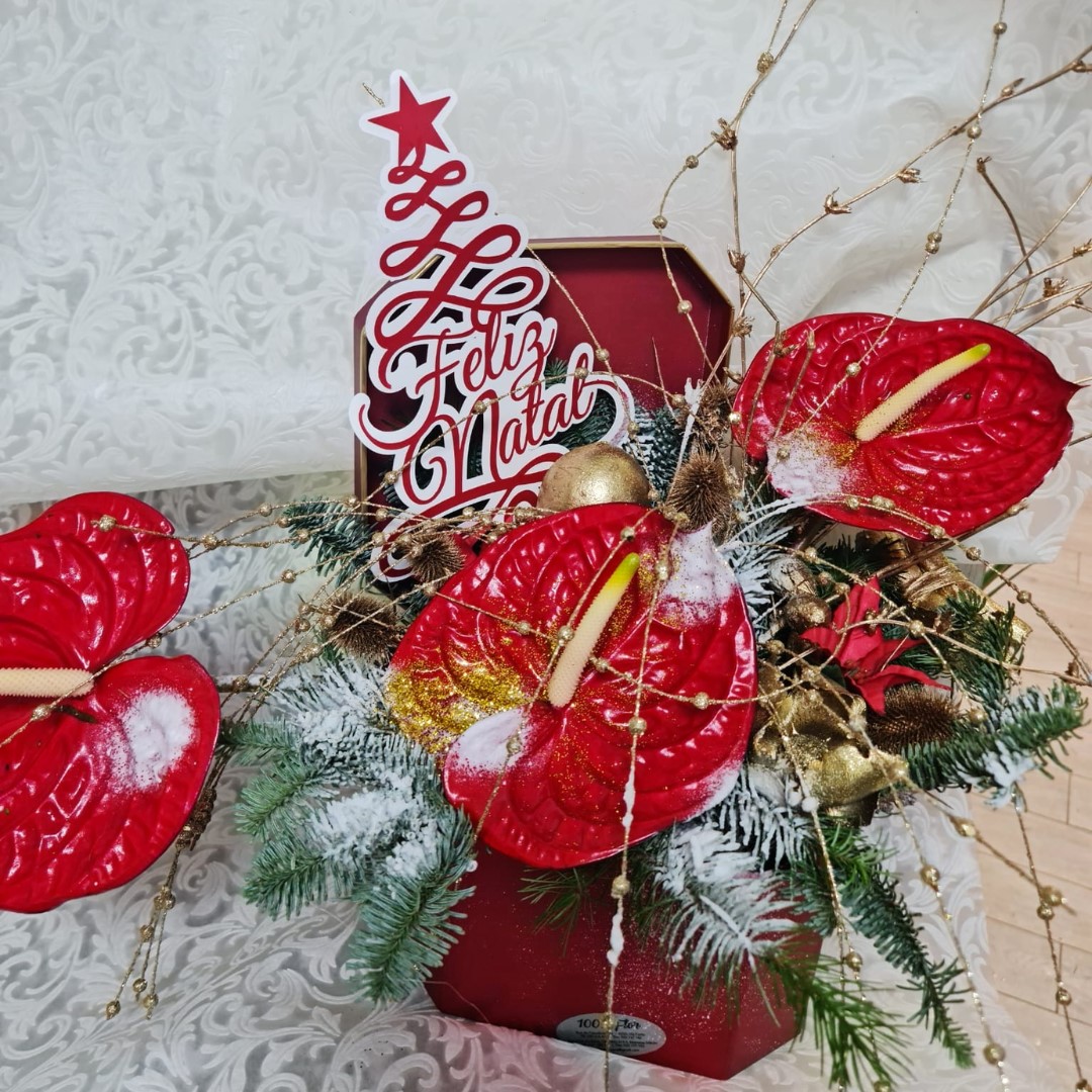Caixa de Natal