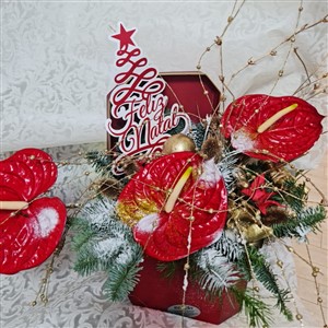 Caixa de Natal